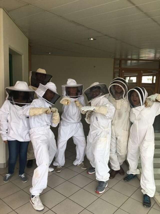 Association Un rêve d'abeilles