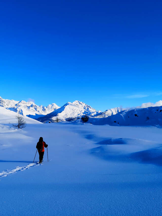 Montagne Mélézin