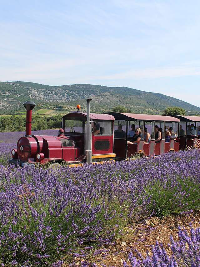 Maison de la Lavande Ardèche / Produttore-Distillatore e Museo