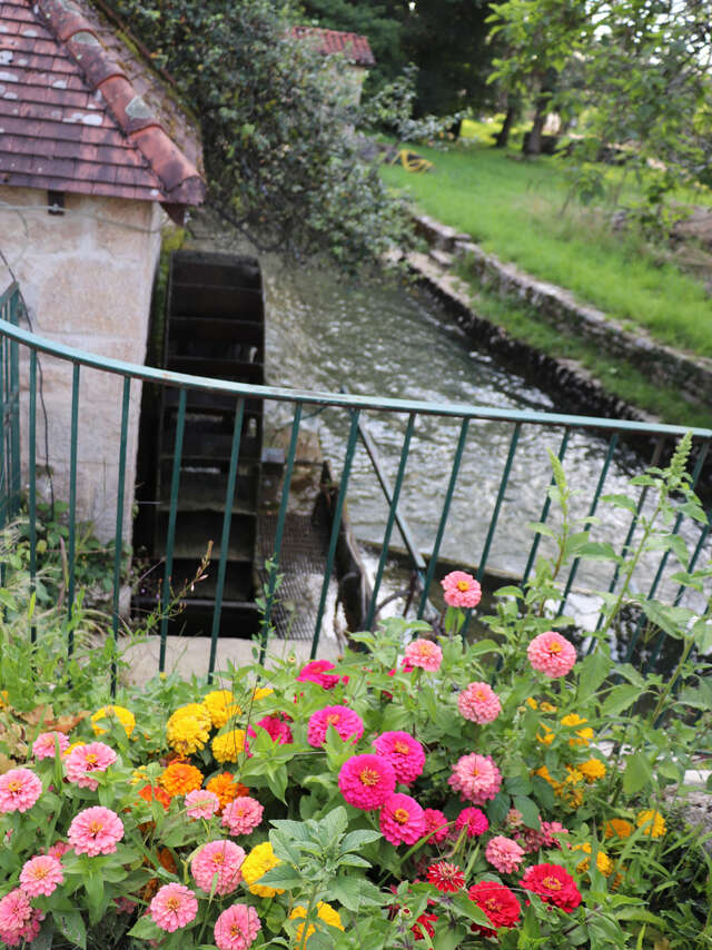 Verjon, au fil de l'eau
