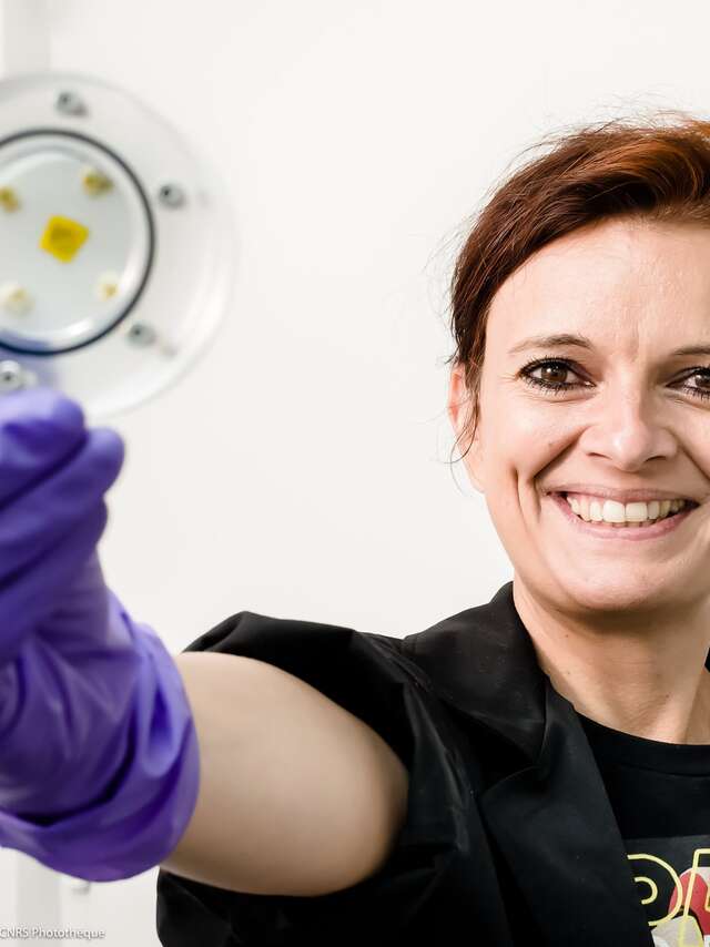 Conférences scientifiques au Naturoptère - Les champignons de l'Apocalypse