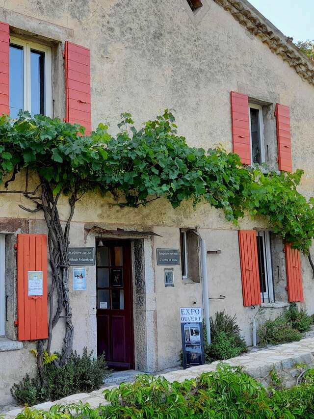 Edy Boucher - L'Arbre en Scène, woodcarver