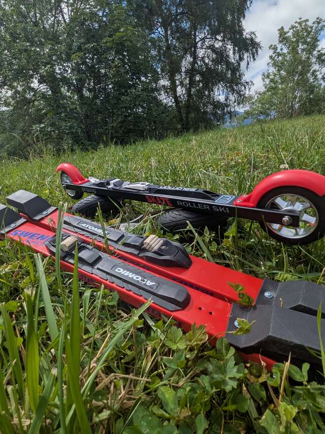 Découverte du ski-roues