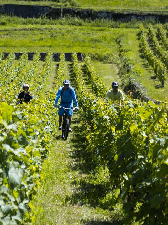 Sortie VTC électrique - Plateau de Gavot et vignes de Marin
