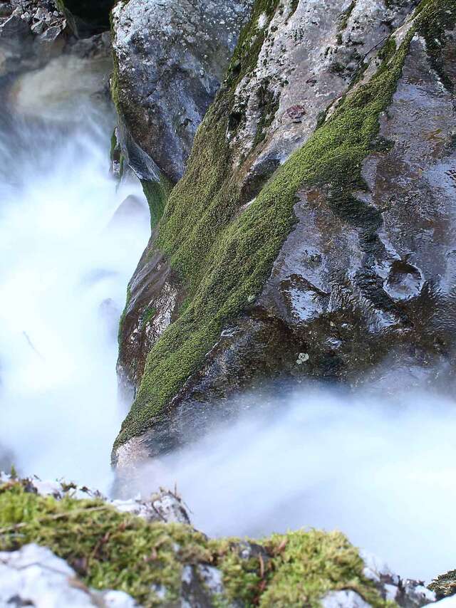My Canyon de la Mine - Expert