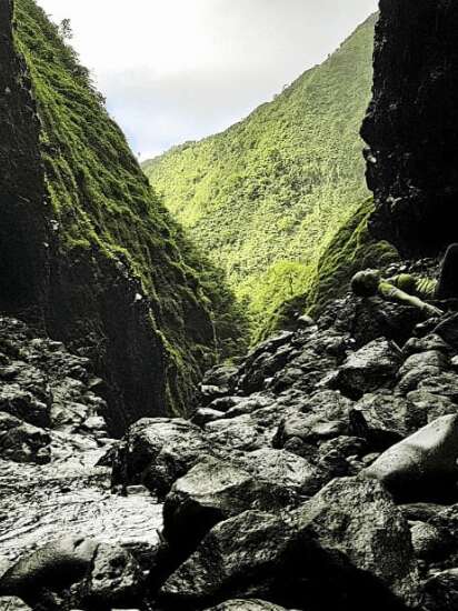 Jeff Adventure Tahiti