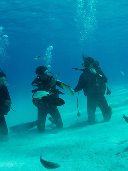 Tahiti Nui Diving