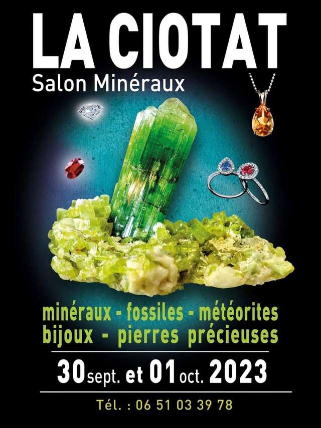 Salon des Minéraux, Fossiles, Météorites, Bijoux et Pierres Précieuses