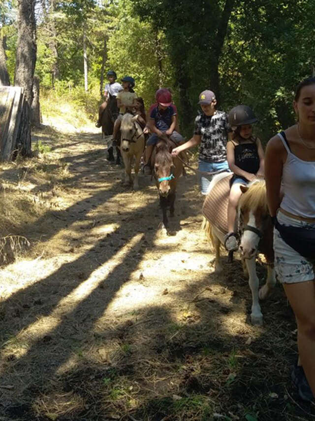 La mini ferme du Ventoux