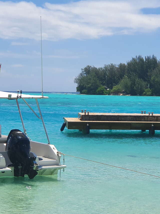 Moorea Evasion