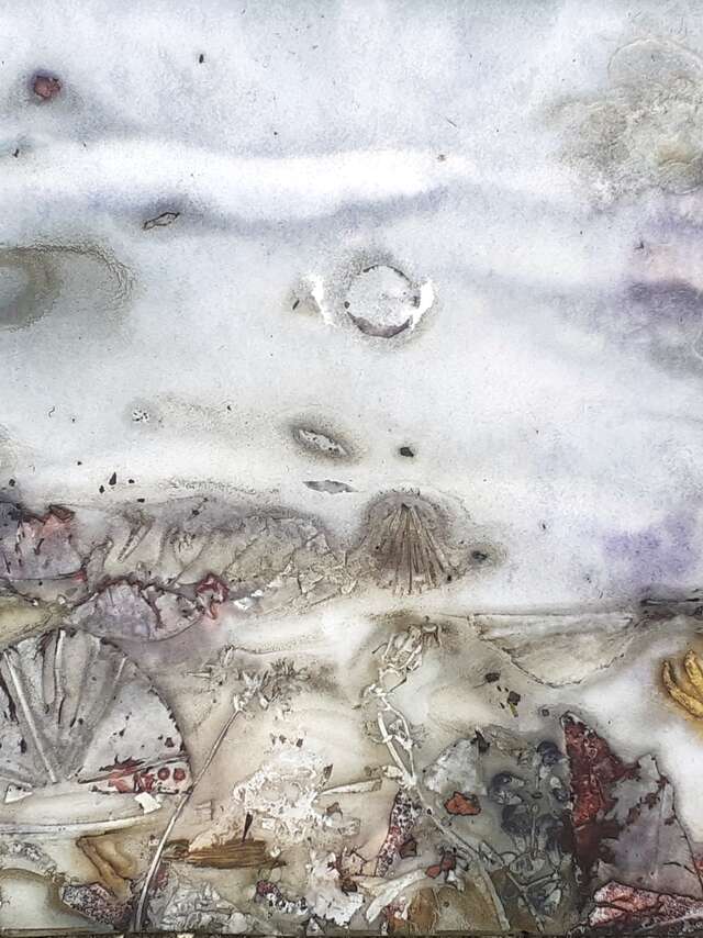 Exposition "Résultats alchimiques d'impressions végétales"