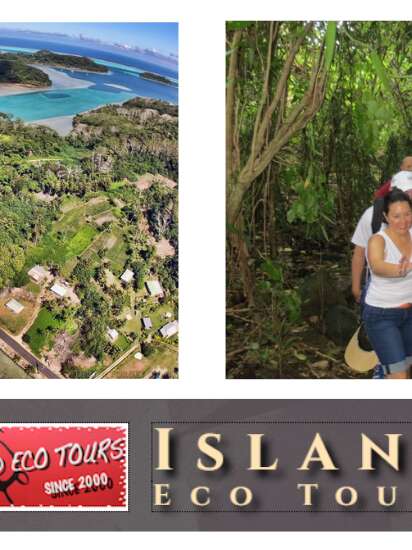 Island Eco Tours