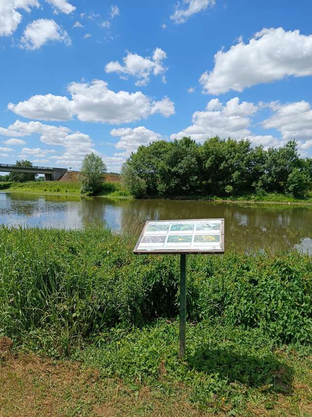 Marais pédagogique de Briollay