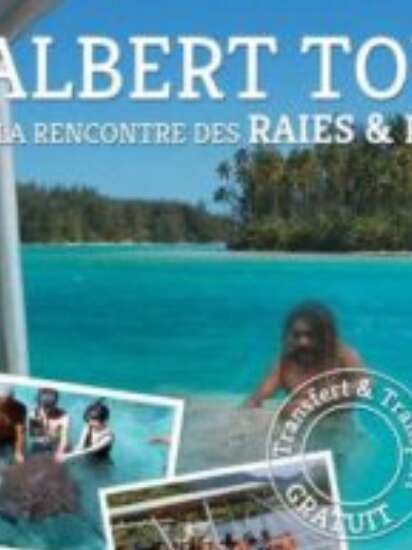 Albert Tours : Excursion Moana Lagoon & Motu Picnic