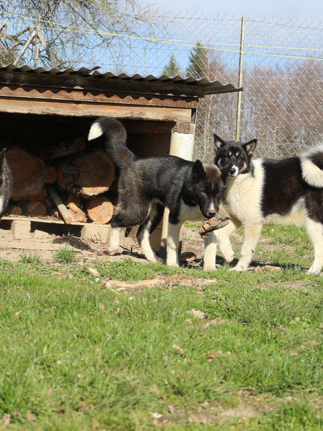 Supervised introduction to cani-rando