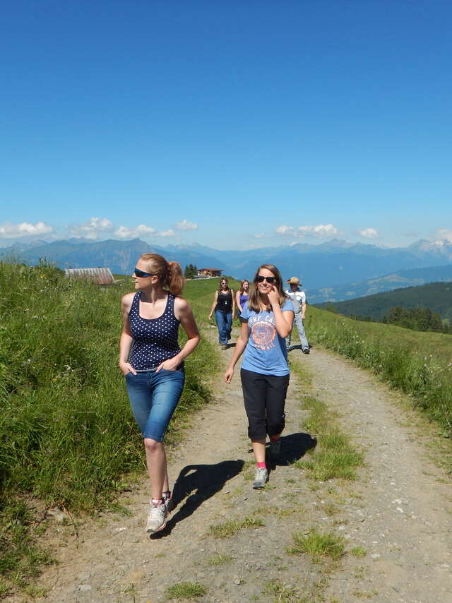 Randonnée à pied 1/2 journée