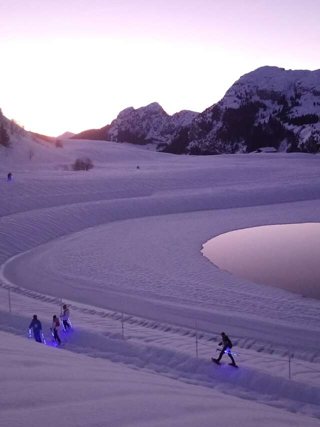 Moonlight Snowshoe Hike and Fondue
