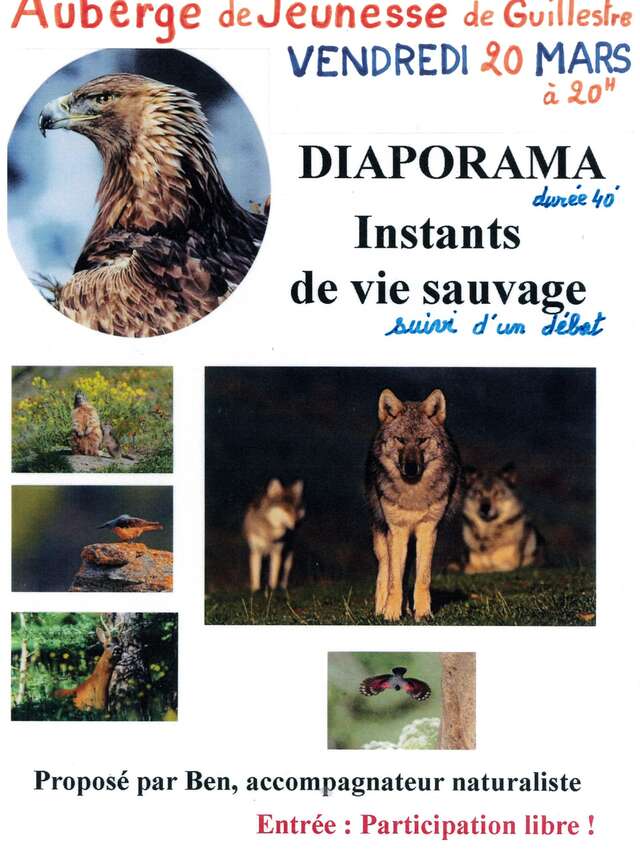 Diaporama "Instants de la vie sauvage"
