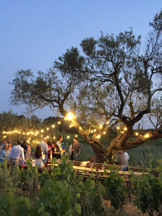 Soirées dégustation au domaine de Favanquet