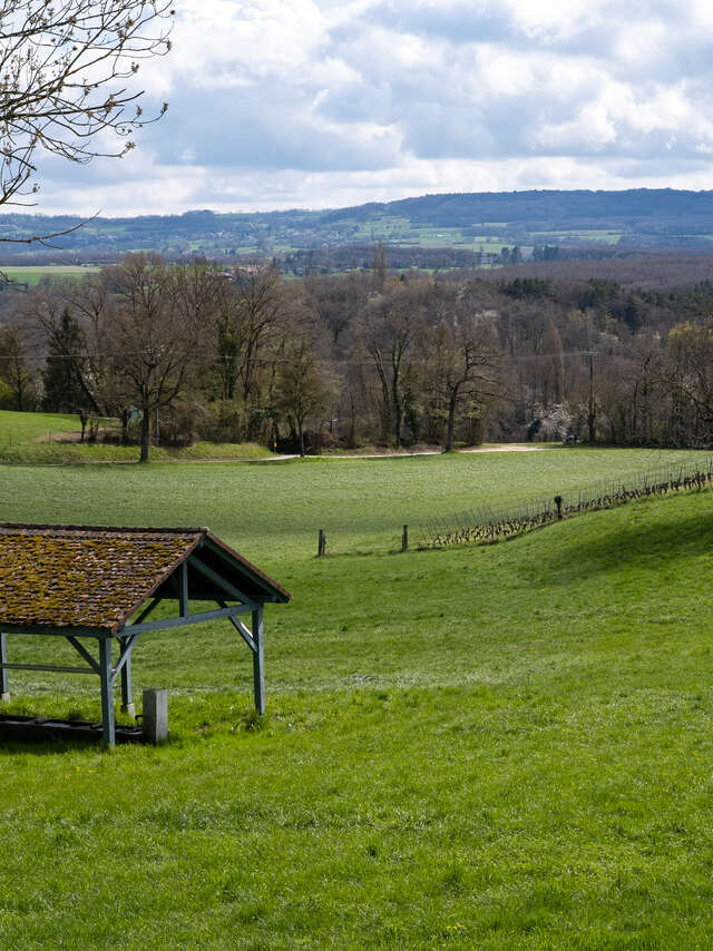 Boucle pédestre : une boucle à saute frontière: Malagny - Sezegnin - Avusy