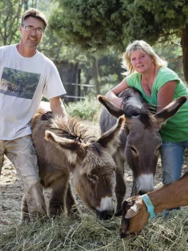 Chèvrerie du Bois d'Amon