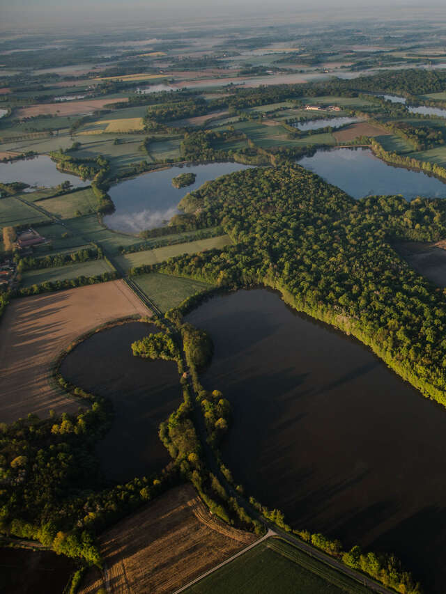 Découverte de l'Etang du Grand Béron - Natura 2000