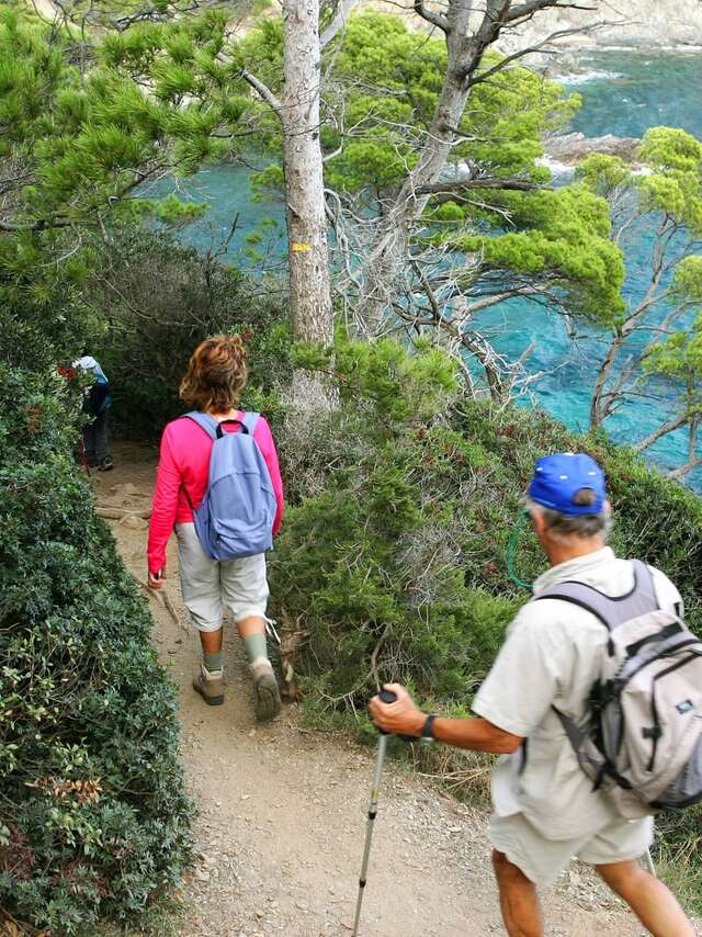 Visite guidée à la découverte de Porquerolles, hors des sentiers battus