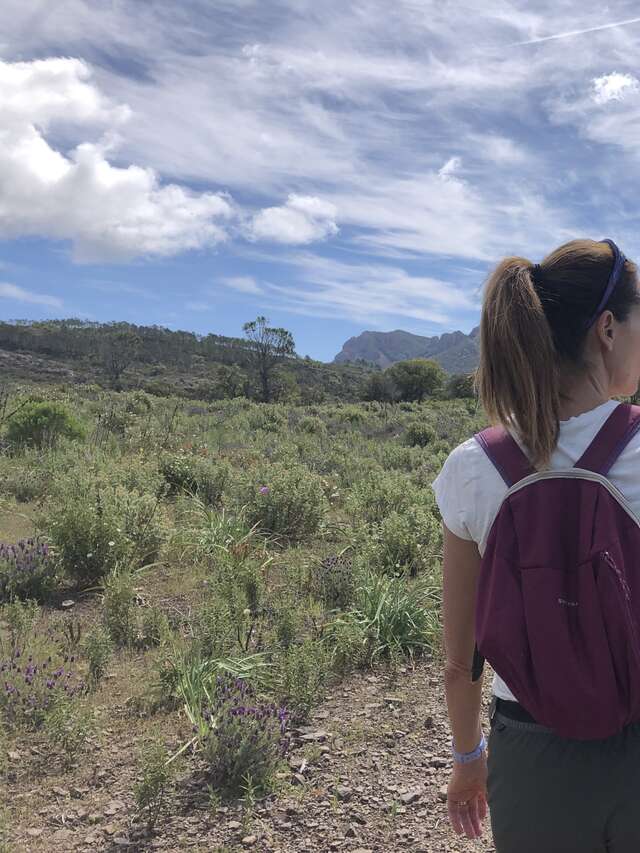 S.A.B Estérel - Sport Activités Bien être