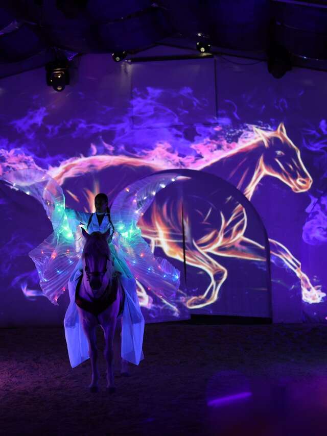 Cabaret equestre della Camargue