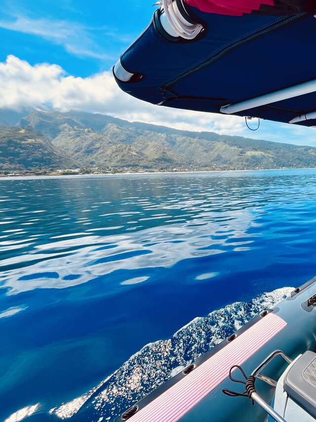 Tahiti Freediving