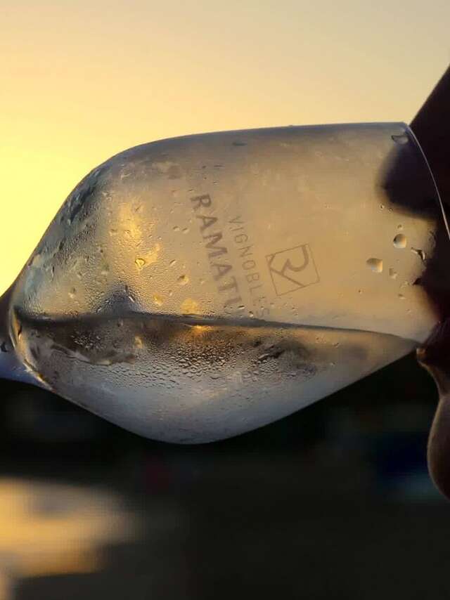 Vignobles de Ramatuelle