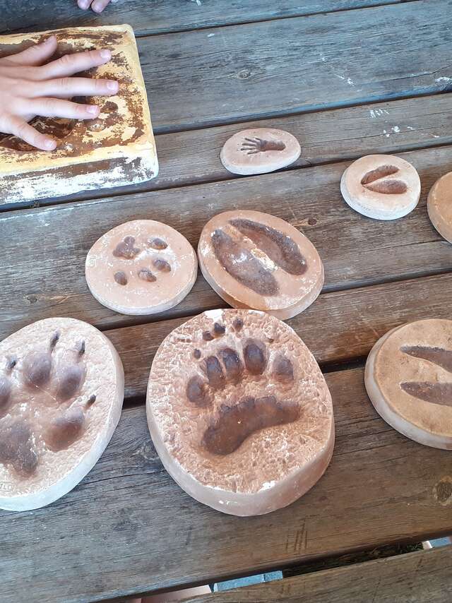 Animations estivales - Balade sur le Sentier du Fer et atelier "Empreintes d'animaux"
