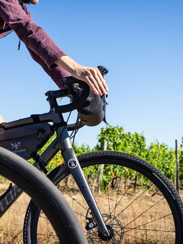 Gravel Circuit / Bikepacking ​- Angers, between the Loire and the vineyards