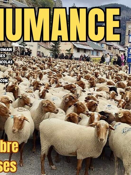 Transhumance de Roubion