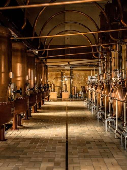 Cointreau distillery (Carré Cointreau)