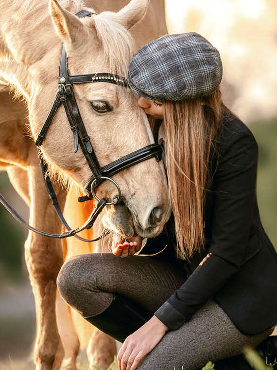 Chevaux et cavaliers : Complicité partagée