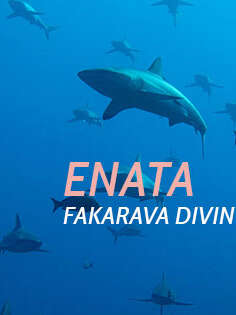 Enata Diving Center