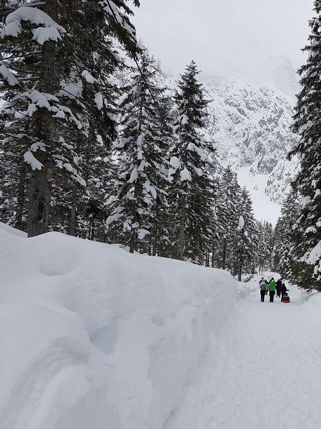 Les Gardiens du Mont Rouge