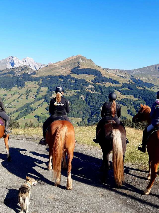 Balade à cheval
