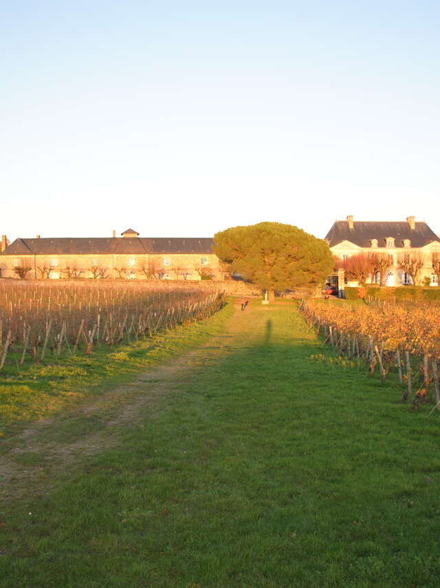 Domaine aux Moines