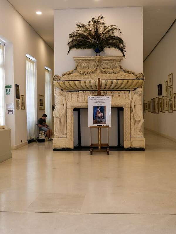 Musée Calvet