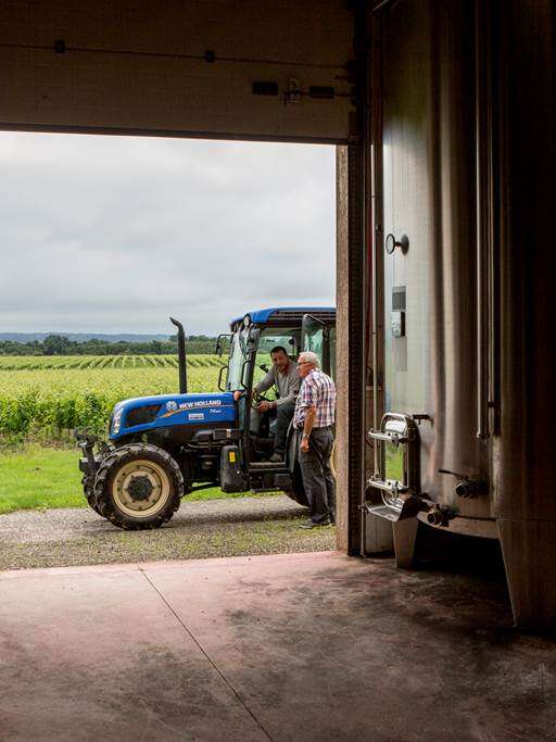 Domaine de Lescure