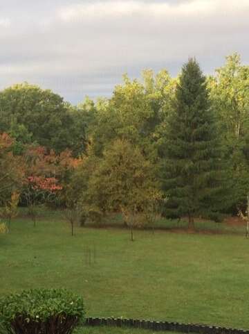 Chambres d'hôtes Les bois de Ravel