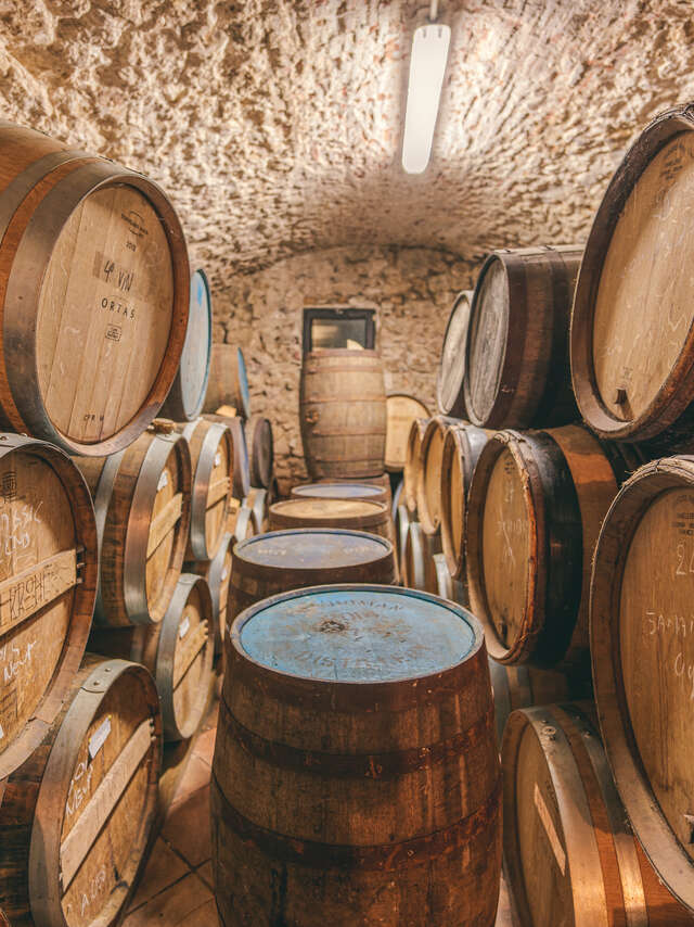 Visite Expert Rhum à la Maison Ferroni