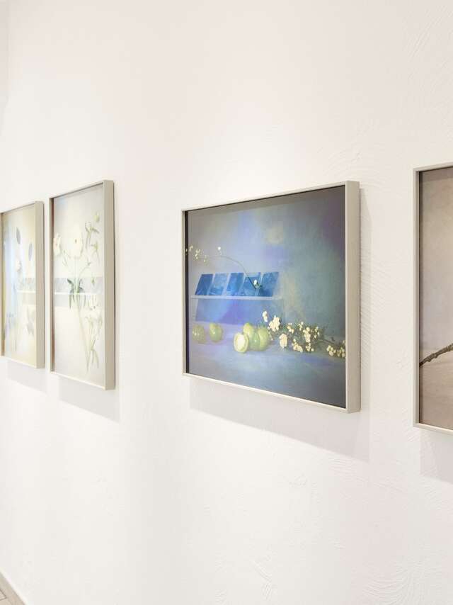 Exhibition "Mediums transfert: story from painting to photography"