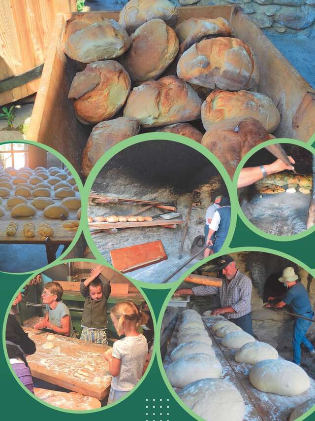 Bread festival