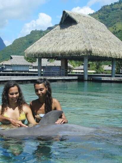 Moorea Dolphin Center