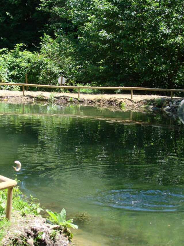 Pisciculture de Montferrier