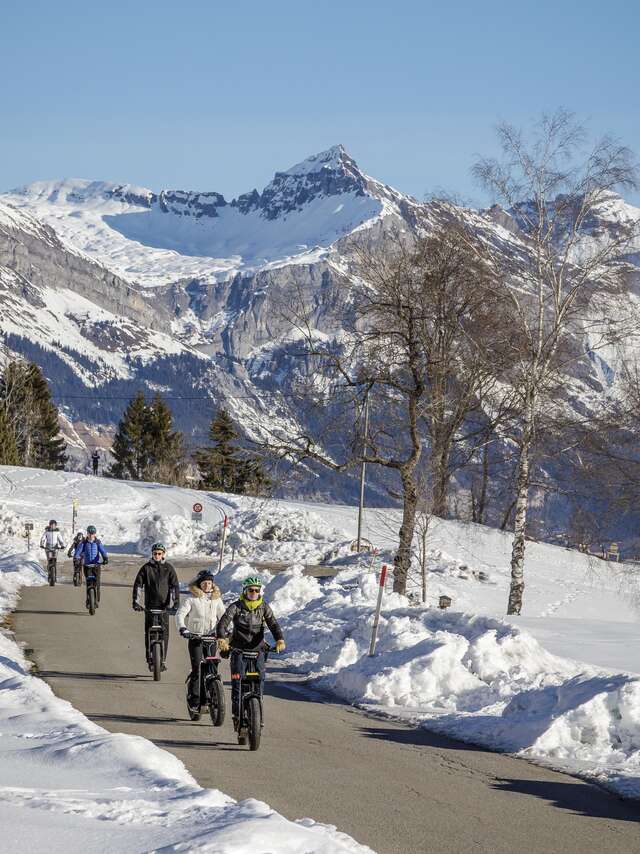 Trottinette électrique sur neige
