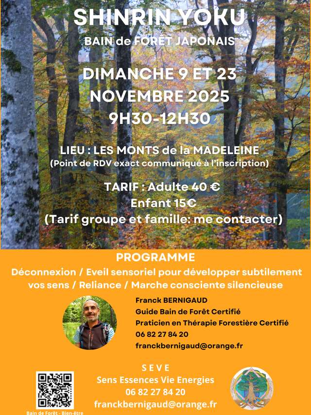 "Shinrin Yoku" bain de forêt Japonais